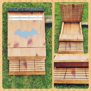 Maak of koop een vleermuizenkast !