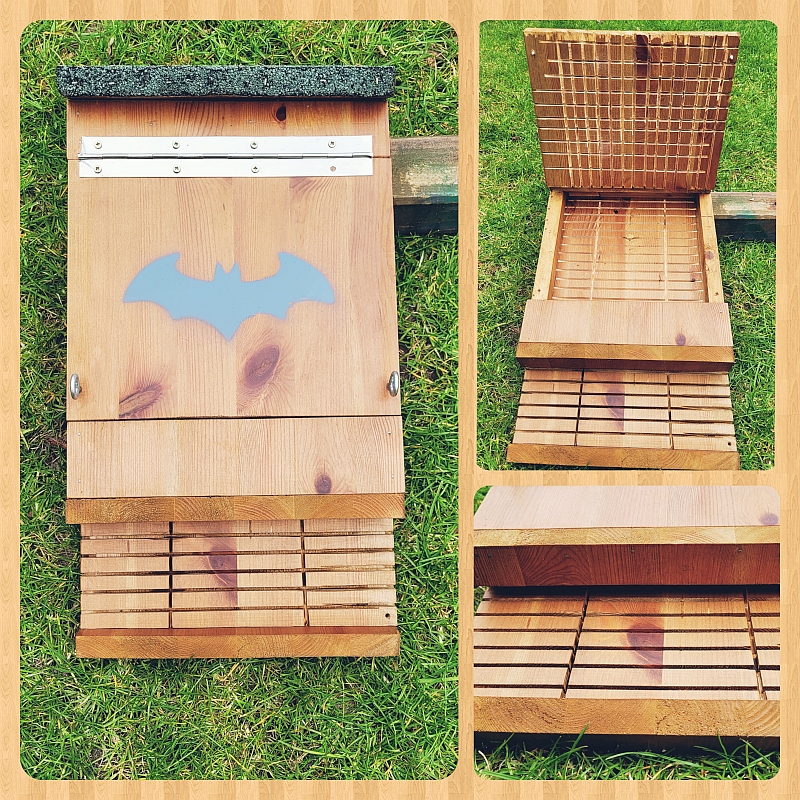 Maak of koop een vleermuizenkast !